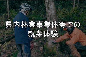 就業体験
