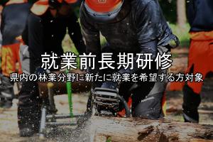 就業前長期研修