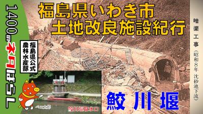さめがわせき