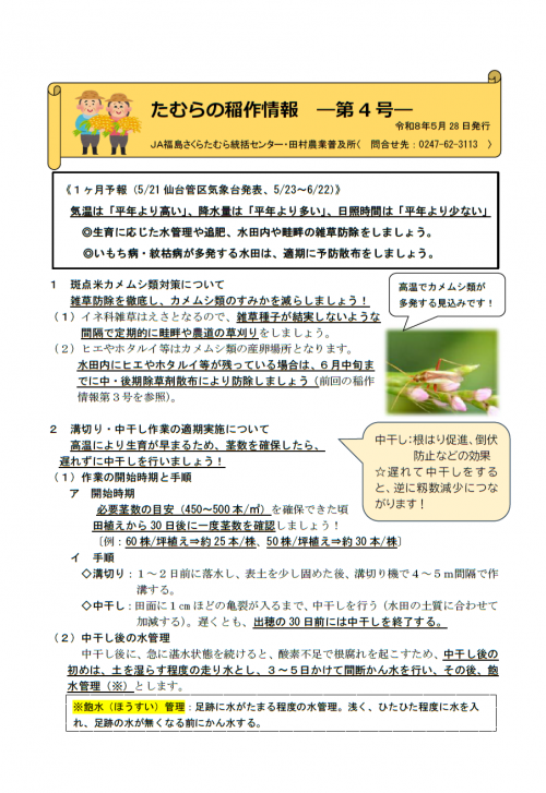 tamura_inasaku