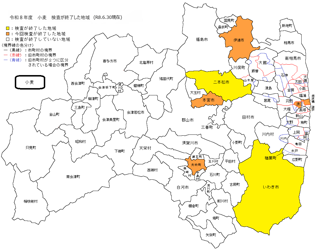 小麦