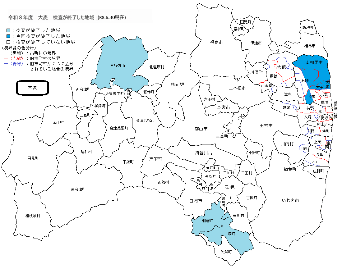 大麦
