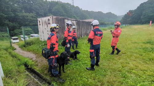 救助犬到着