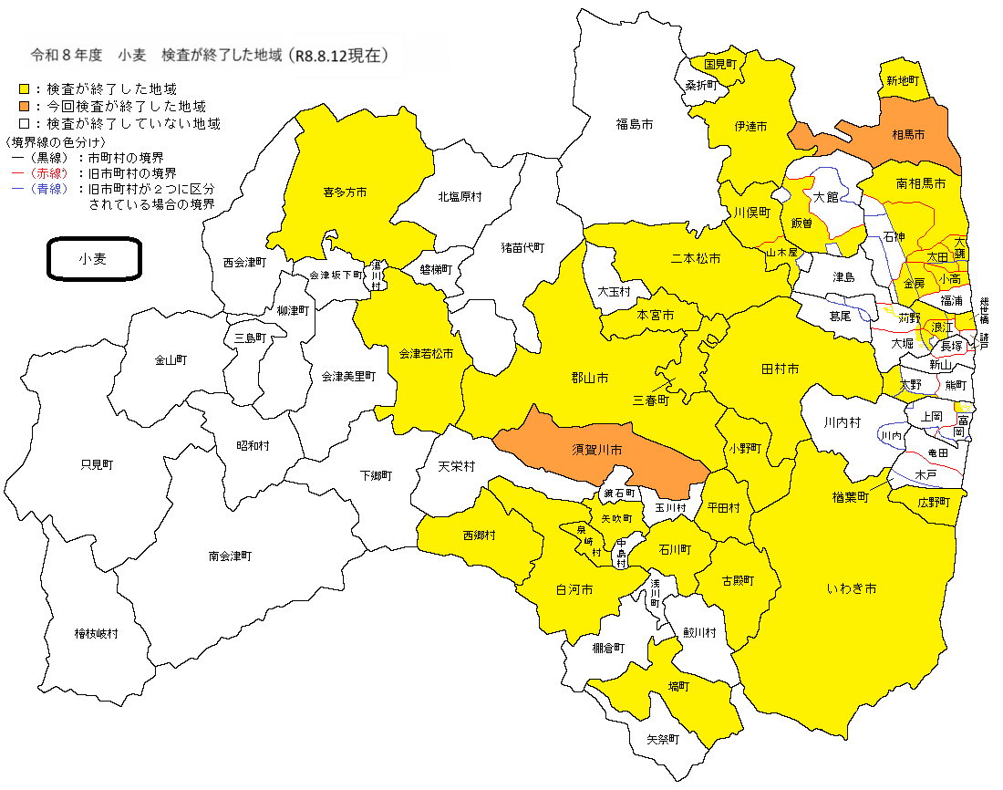 小麦