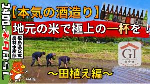  地元産の米でお酒をつくる～GI南会津（清酒）～【田植え編】