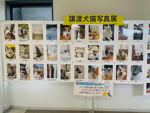 県庁写真展の様子