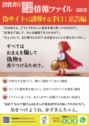 消費者庁財産被害情報ファイル、偽サイトに誘導する手口、広告編、隅から隅まで細かく確認する、違和感を覚えたら公式サイトを検索、確認する