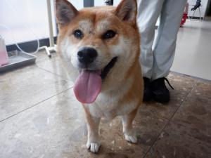 さっちゃん