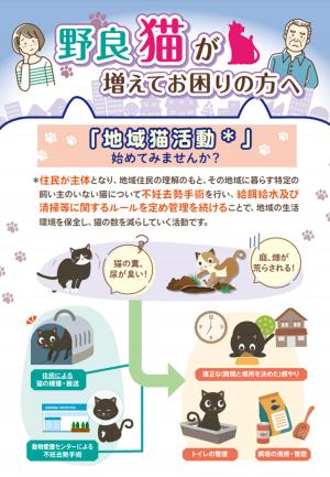 地域猫チラシ