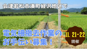 会津若松市湊町電気柵撤去