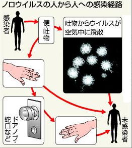 ノロウイルスの人から人への感染経路
