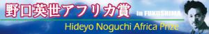 野口英アフリカ賞バナー