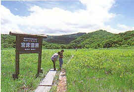 宮床湿原