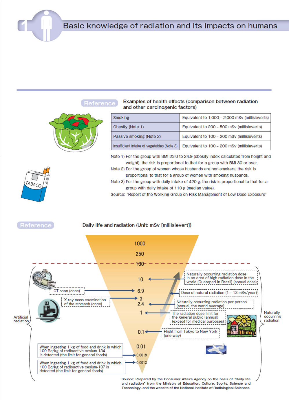 Food and Safety influence of radiation 