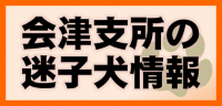 会津支所の迷子犬情報