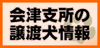 会津支所の譲渡犬情報