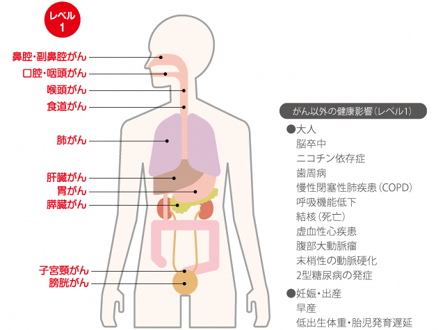 画像出典：国立がん研究センターがん情報サービス「たばことがん」