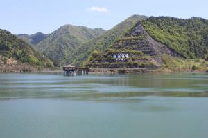 令和7年5月13日現在の様子