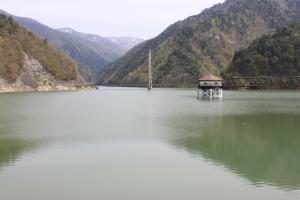 令和8年4月20日現在の様子