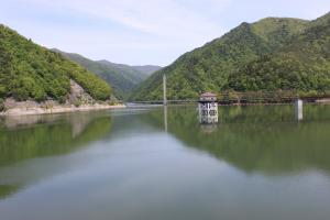 令和8年5月11日現在の様子