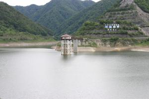 令和8年6月15日現在の様子