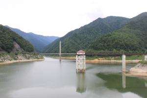 令和8年8月17日現在の様子