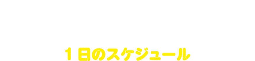 一日のスケジュール