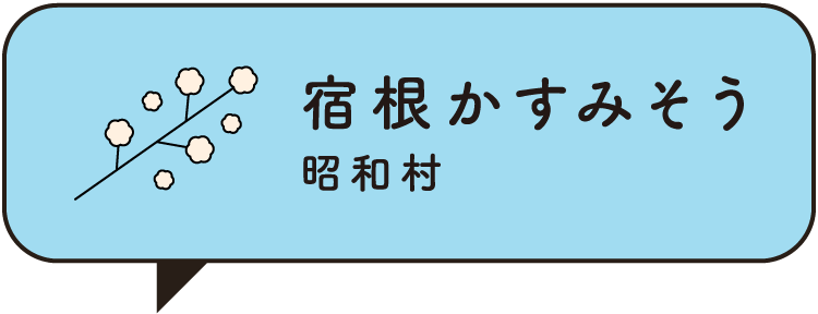 宿根かすみそう