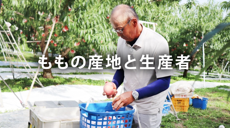 ももの産地と生産者