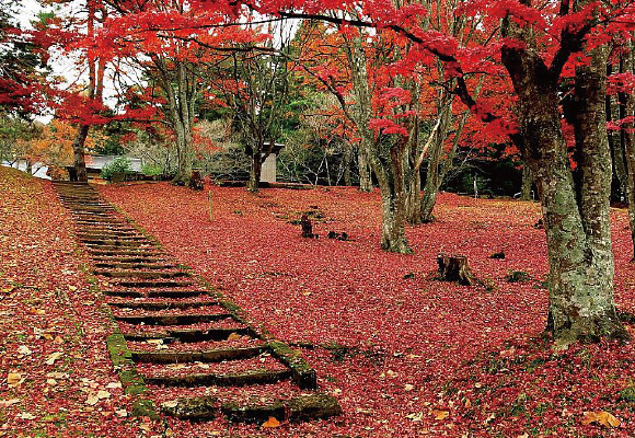 土津神社