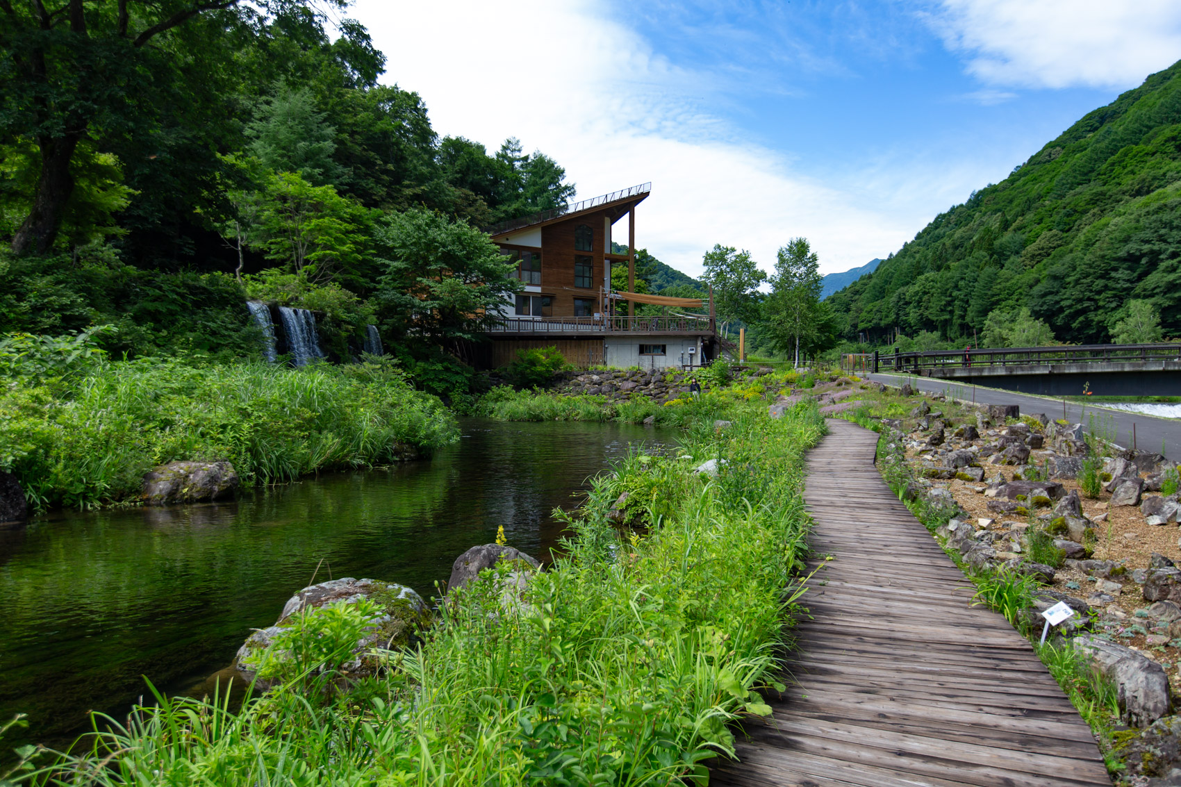 ミニ尾瀬公園