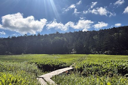 大江川