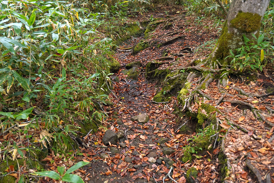 作業前の登山道