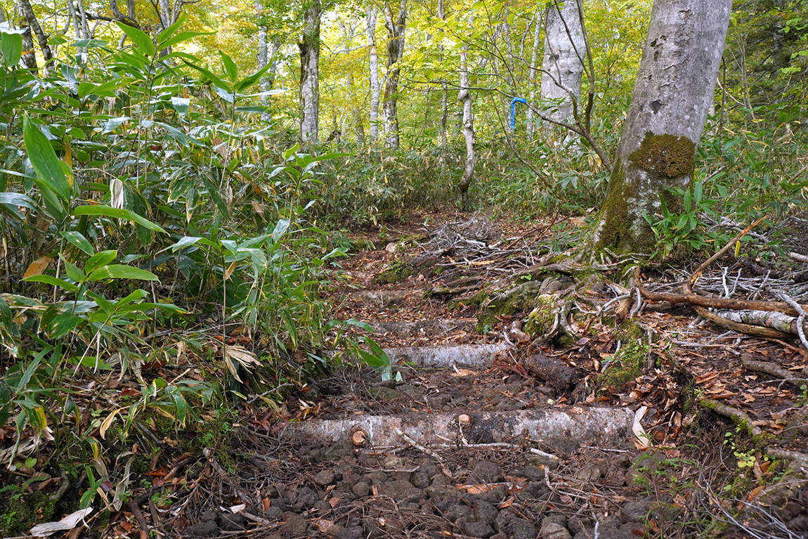 作業後の登山道
